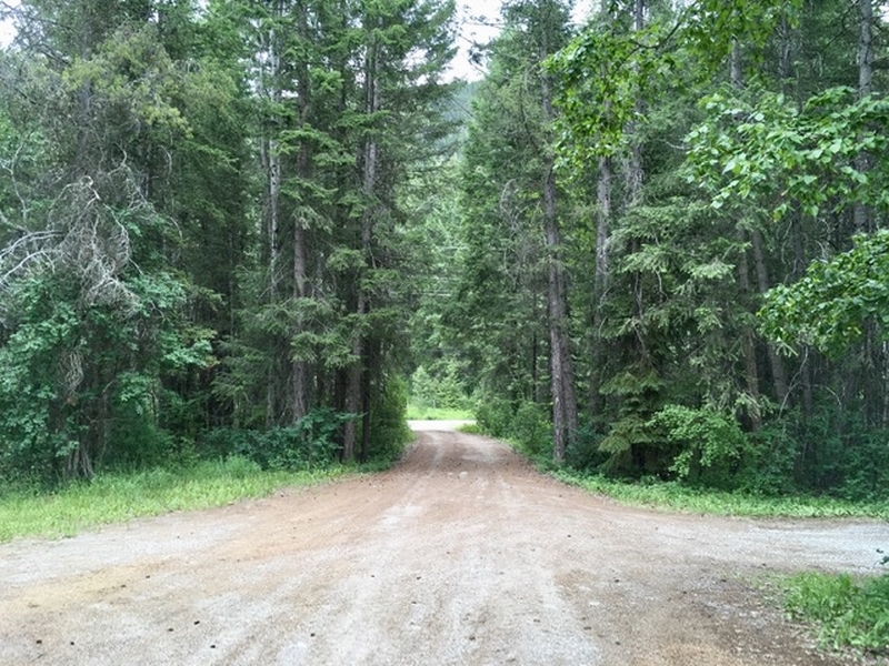 Property Rentals • Golden BC • RE/MAX Golden