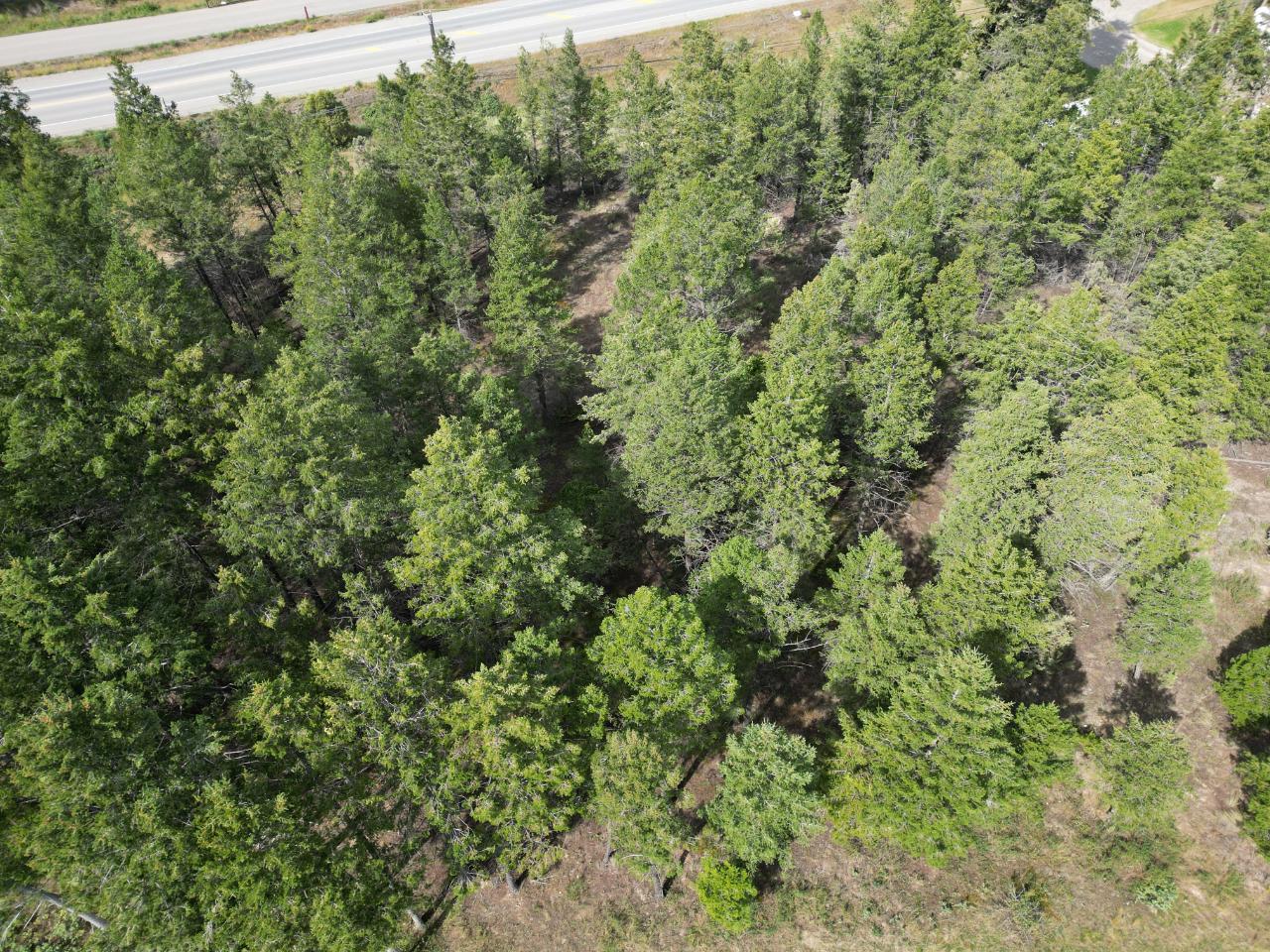 Lot 6 Emerald East Frontage Road, Windermere, British Columbia  V0A 1K2 - Photo 11 - 2467175