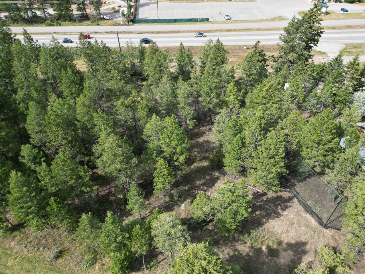 Lot 6 Emerald East Frontage Road, Windermere, British Columbia  V0A 1K2 - Photo 9 - 2467175