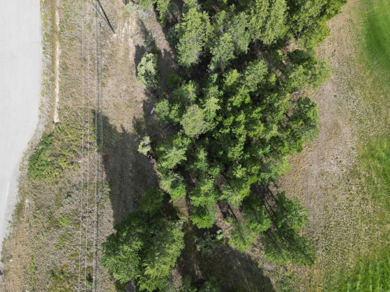 Lot 7 Emerald East Frontage Road, Windermere, British Columbia  V0A 1K2 - Photo 15 - 2467177