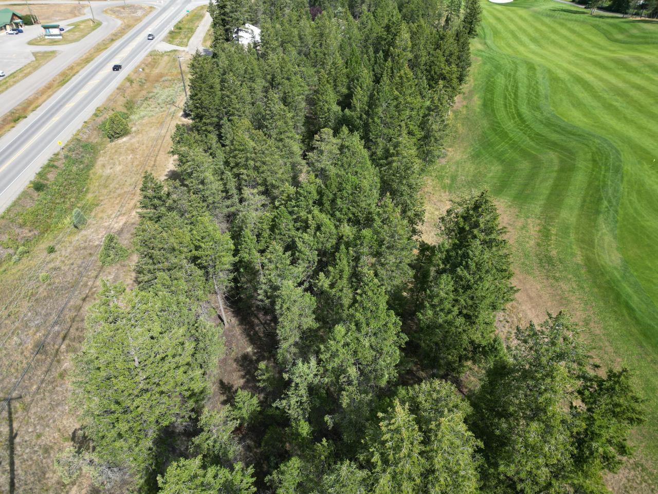 Lot 7 Emerald East Frontage Road, Windermere, British Columbia  V0A 1K2 - Photo 19 - 2467177