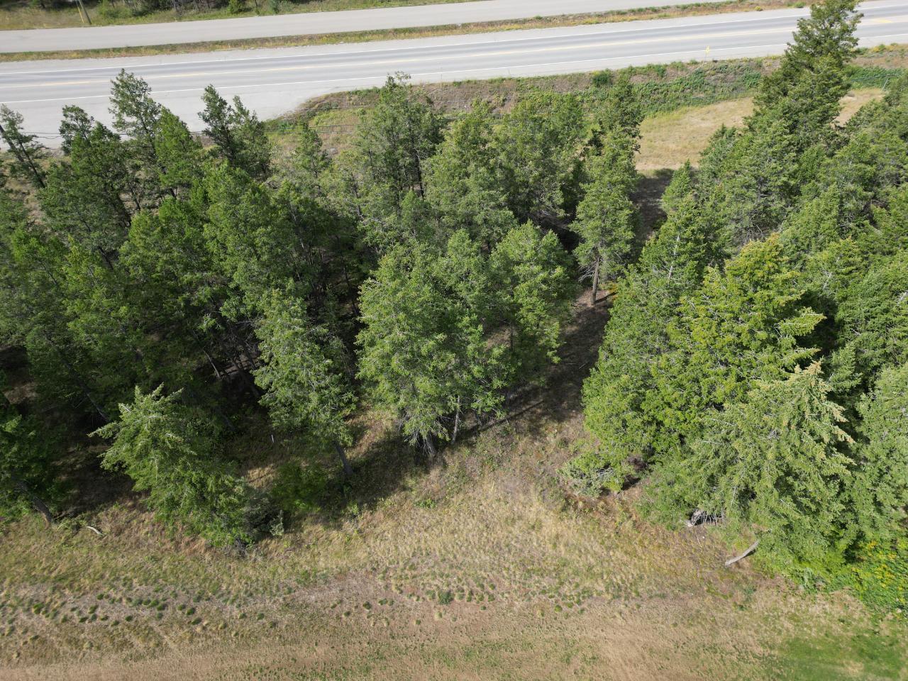 Lot 7 Emerald East Frontage Road, Windermere, British Columbia  V0A 1K2 - Photo 21 - 2467177