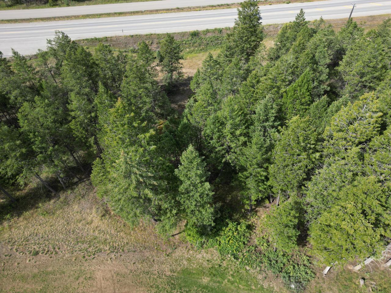 Lot 7 Emerald East Frontage Road, Windermere, British Columbia  V0A 1K2 - Photo 22 - 2467177