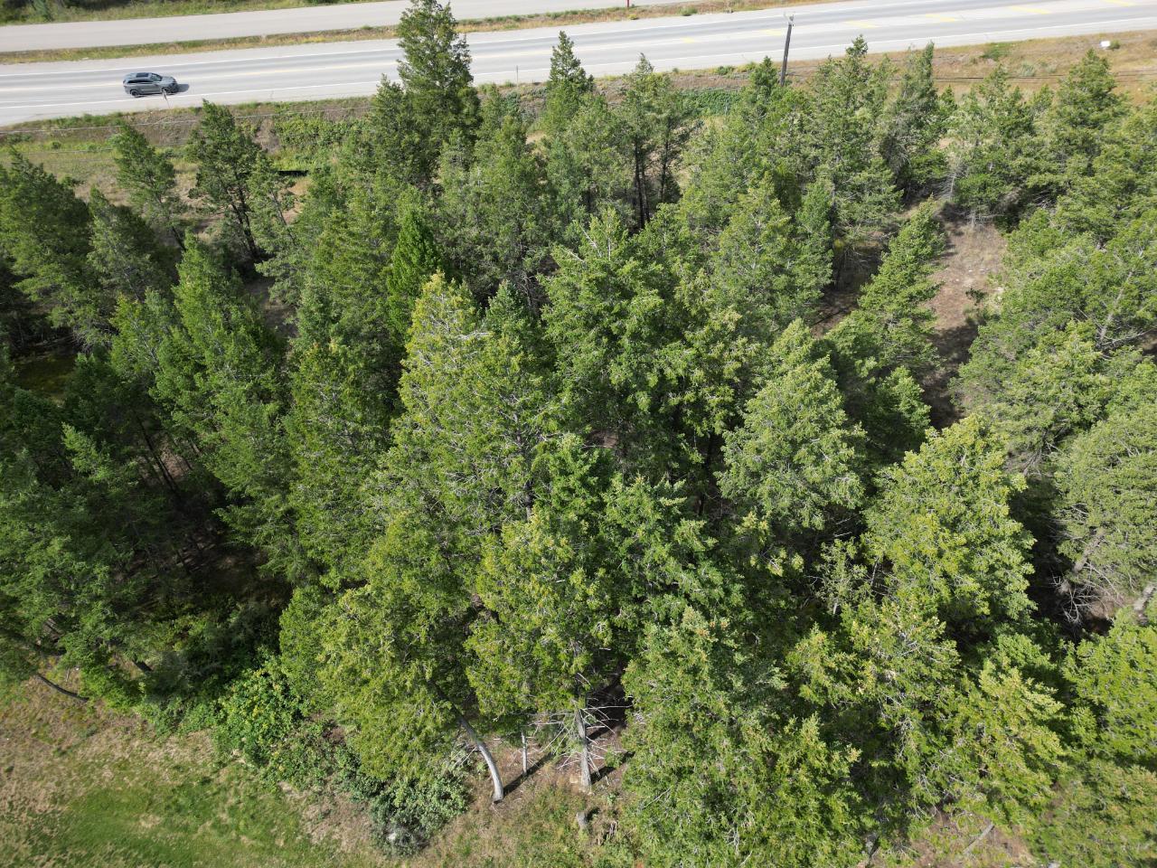 Lot 7 Emerald East Frontage Road, Windermere, British Columbia  V0A 1K2 - Photo 23 - 2467177