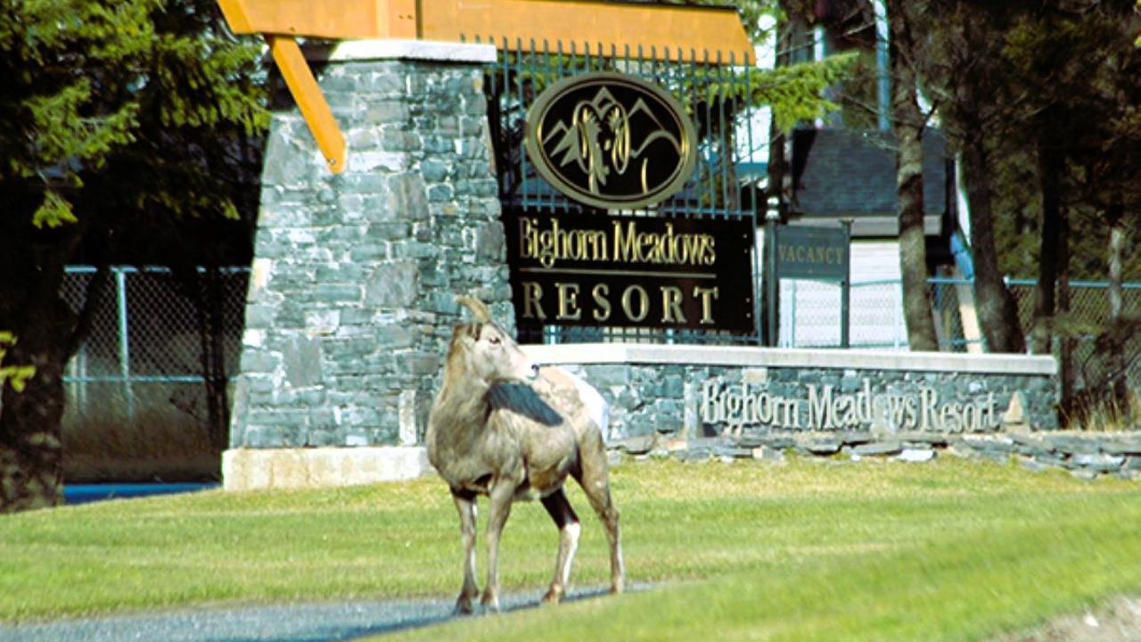 823 A - 800 Bighorn Boulevard, Radium Hot Springs, British Columbia  V0A 1M0 - Photo 43 - 2474888