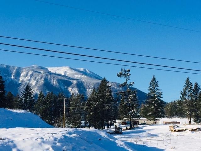 4096 Toby Creek Road, Invermere, British Columbia  V0A 1K5 - Photo 15 - 2475051