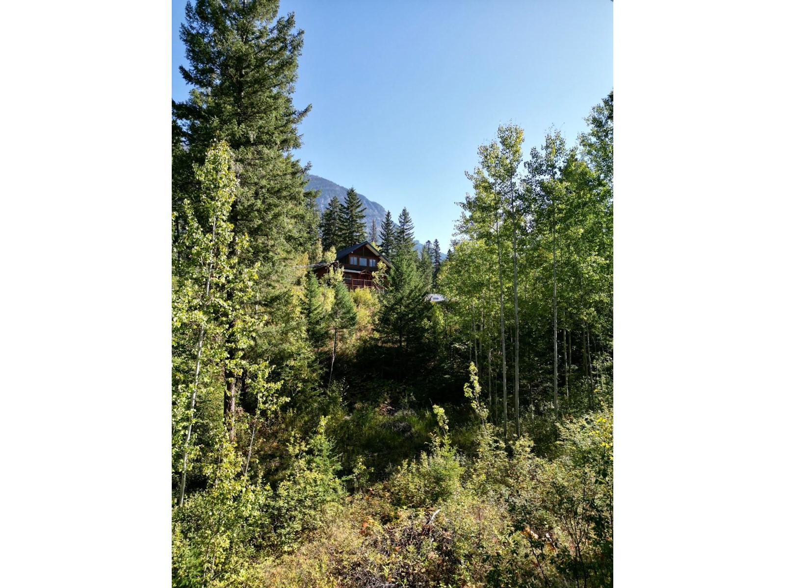 1561 Lavallee Road, Golden, British Columbia  V0A 1H7 - Photo 35 - 2475118