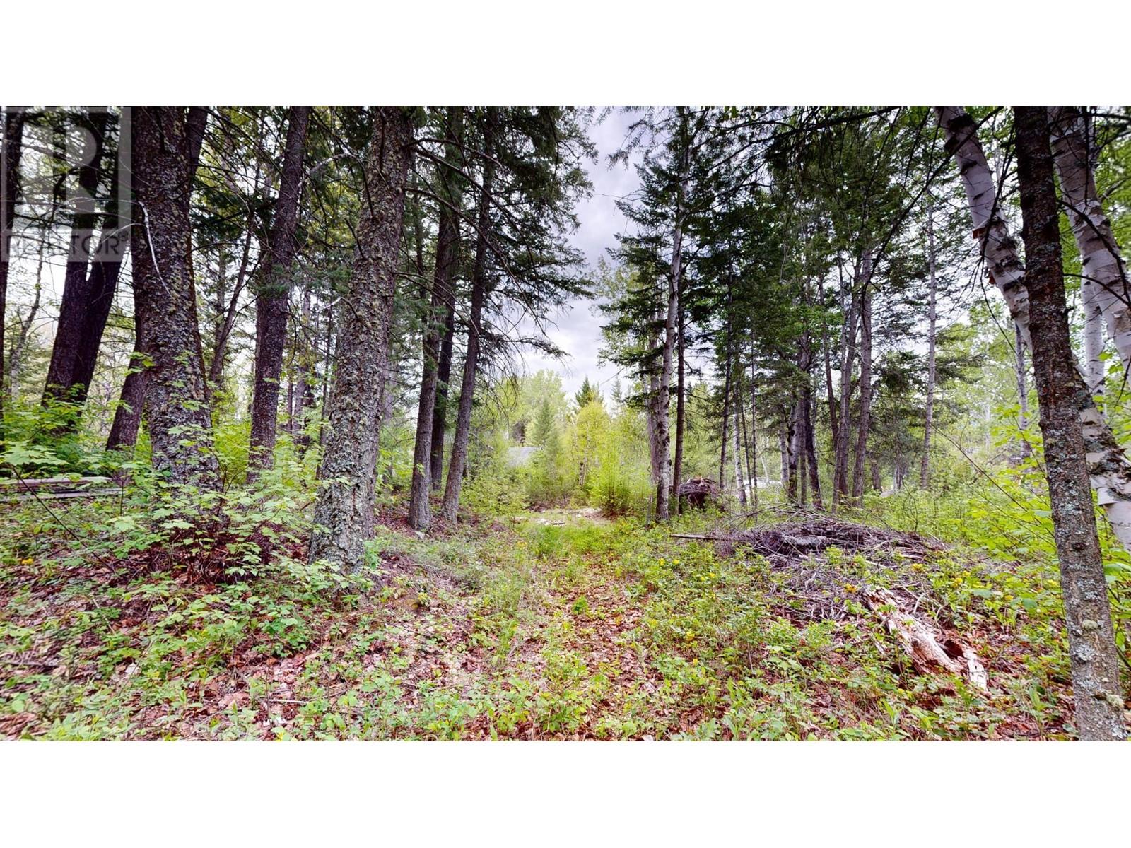 Lot 3/5 Galena School Road, Spillimacheen, British Columbia  V0A 1E0 - Photo 10 - 2476988