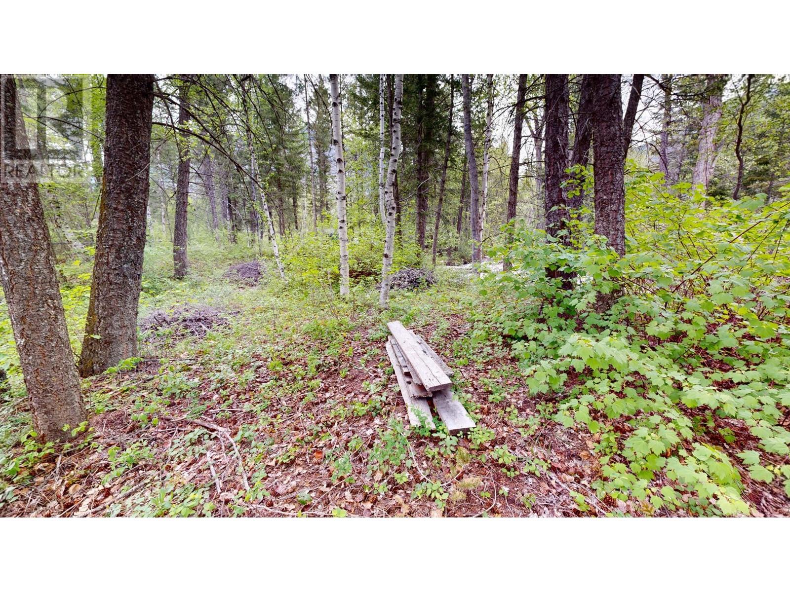 Lot 3/5 Galena School Road, Spillimacheen, British Columbia  V0A 1E0 - Photo 7 - 2476988