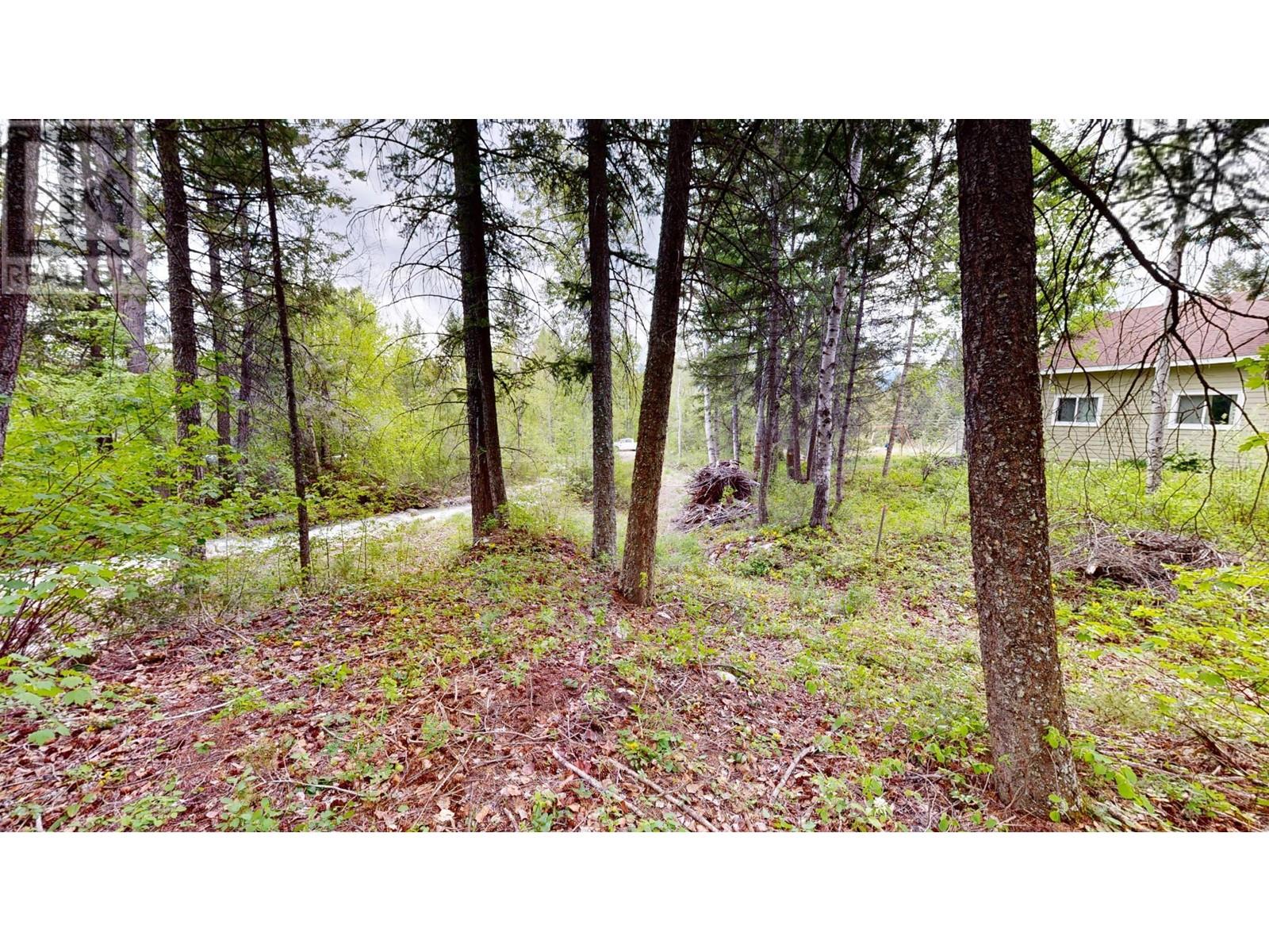 Lot 3/5 Galena School Road, Spillimacheen, British Columbia  V0A 1E0 - Photo 8 - 2476988