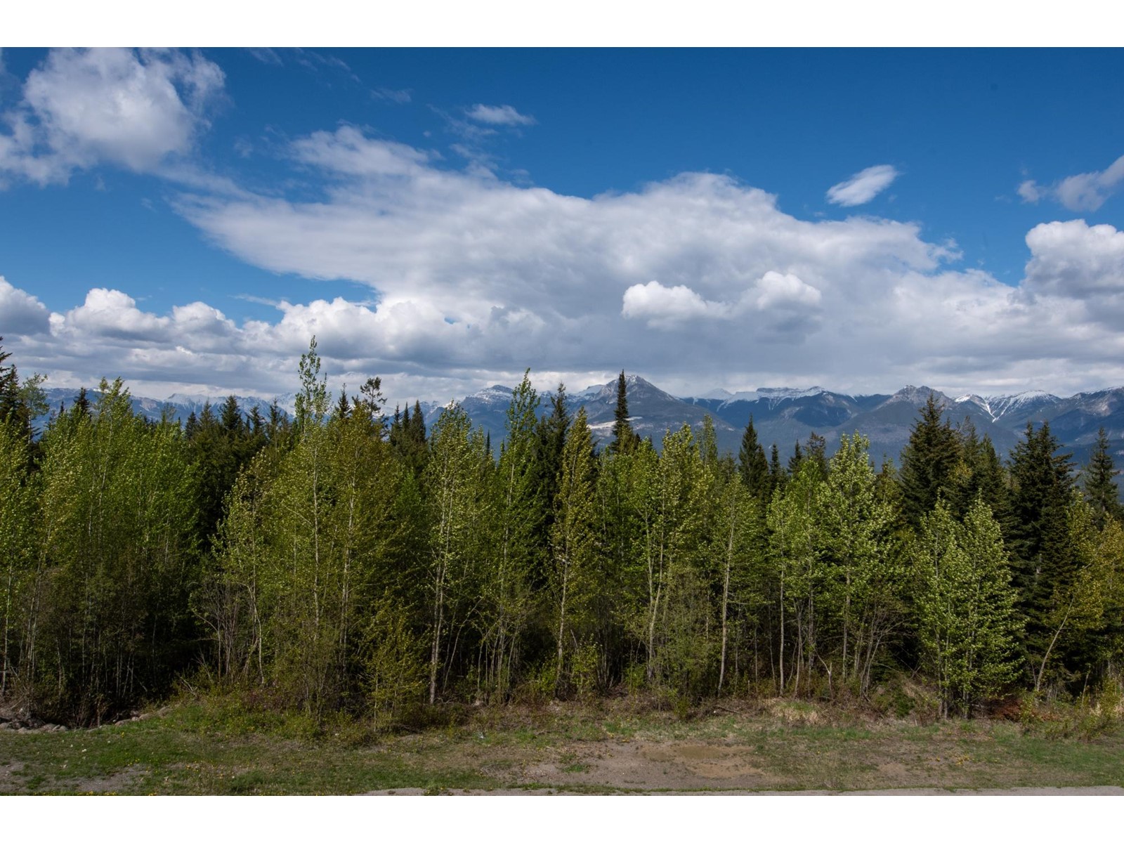 303 - 1549 Kicking Horse Trail, Golden, British Columbia  V0A 1H0 - Photo 12 - 2477168
