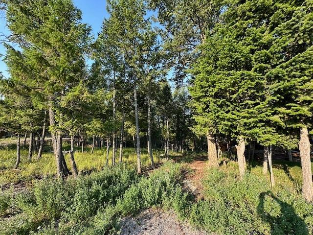 Lot 33 Ledgerock Ridge, Invermere, British Columbia  V0A 1K6 - Photo 10 - 2478298