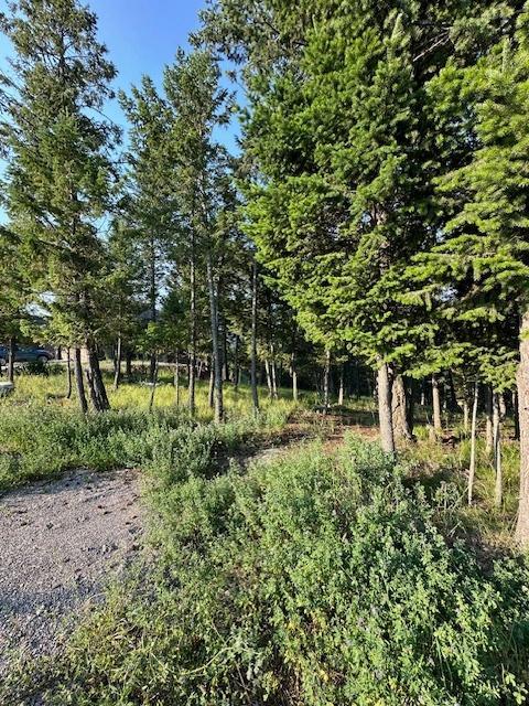 Lot 33 Ledgerock Ridge, Invermere, British Columbia  V0A 1K6 - Photo 5 - 2478298