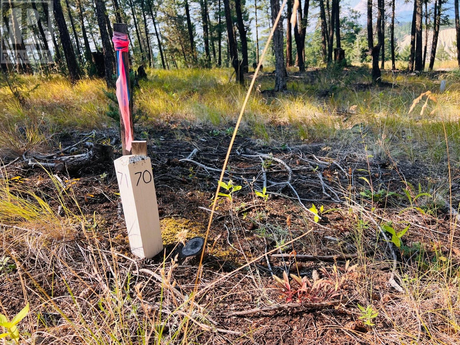 Lot 70 Pineridge Mountain Trail, Invermere, British Columbia  V0A 1K4 - Photo 10 - 2478896