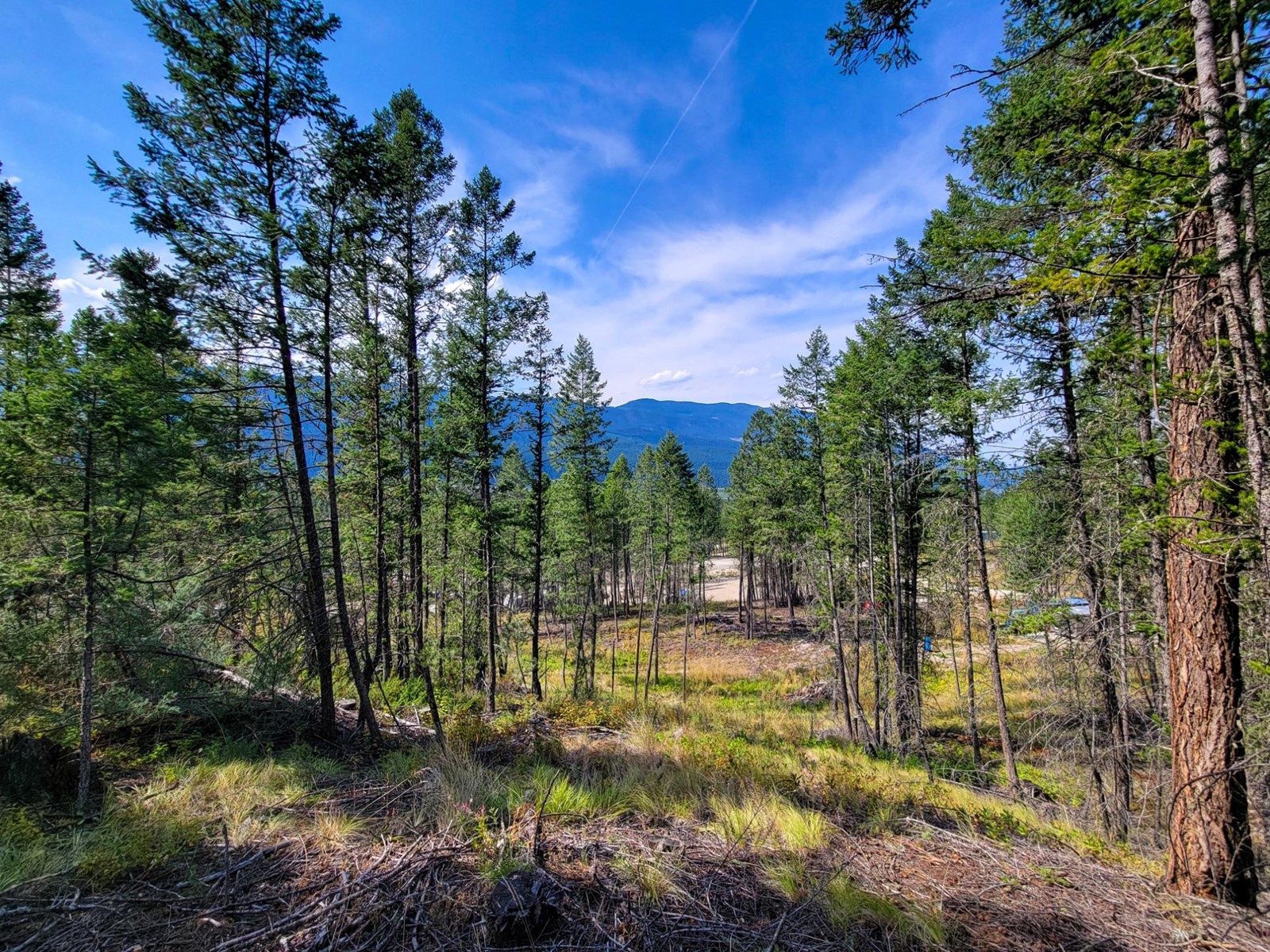 Lot 11 Csokony Road, Spur Valley, British Columbia  V0A 1E0 - Photo 1 - 2479578