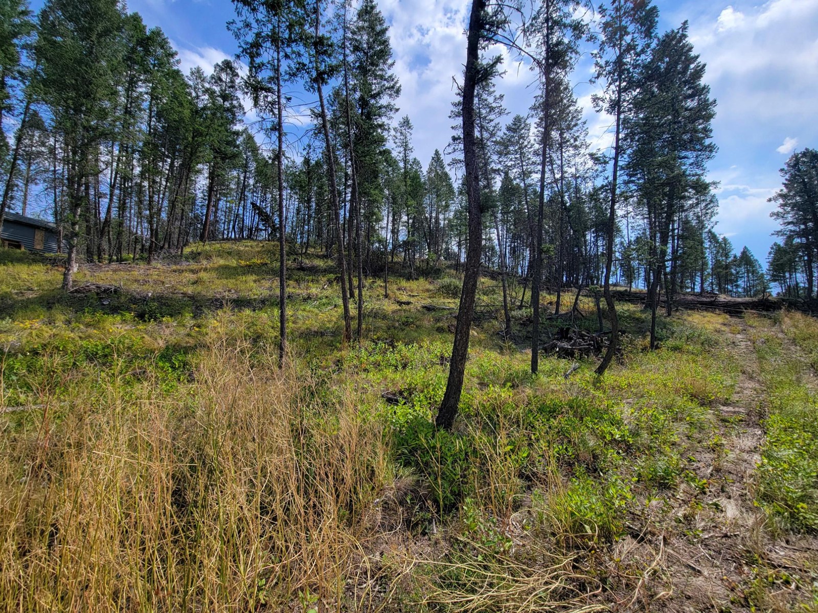 Lot 11 Csokony Road, Spur Valley, British Columbia  V0A 1E0 - Photo 10 - 2479578