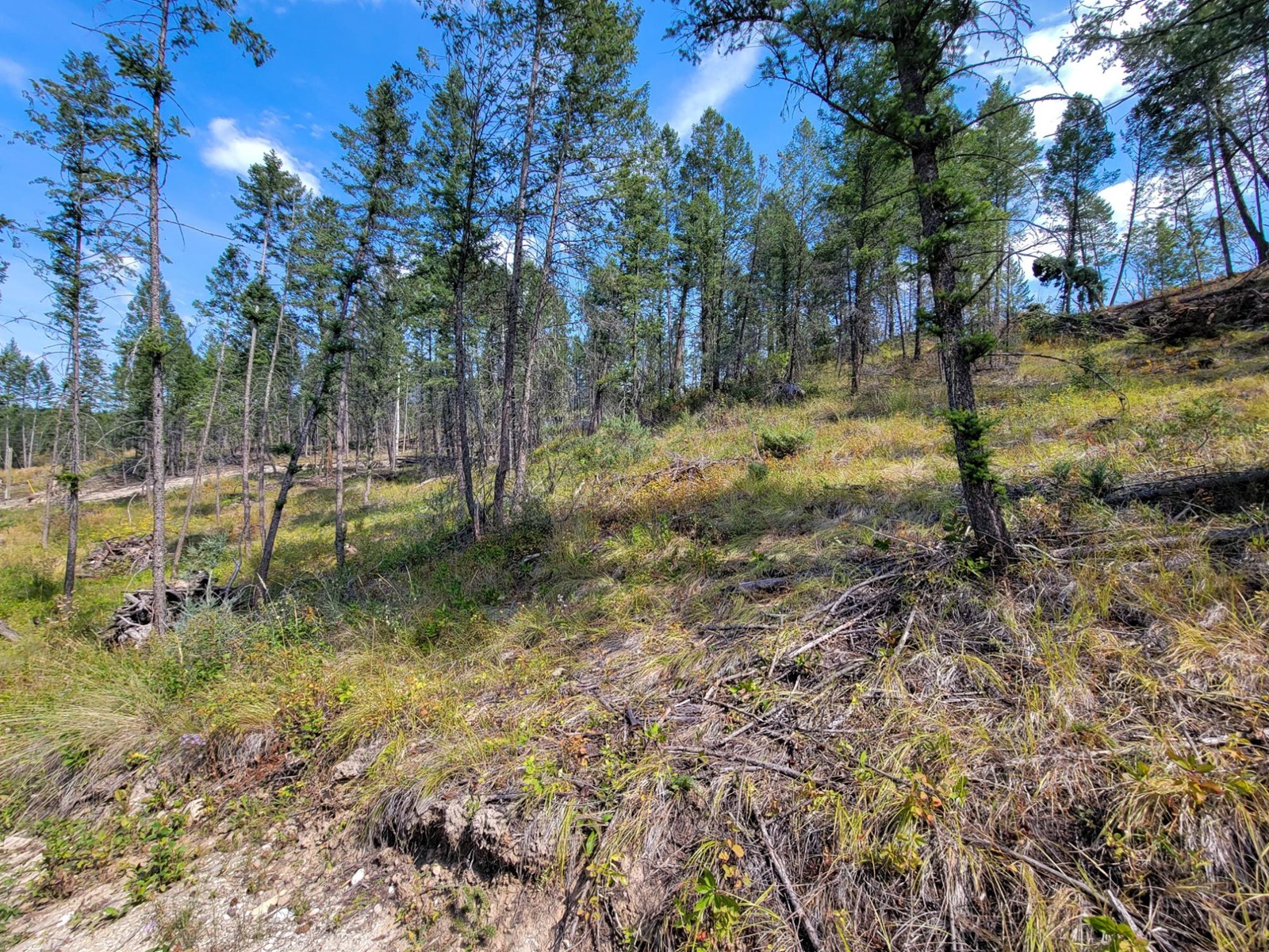 Lot 11 Csokony Road, Spur Valley, British Columbia  V0A 1E0 - Photo 11 - 2479578