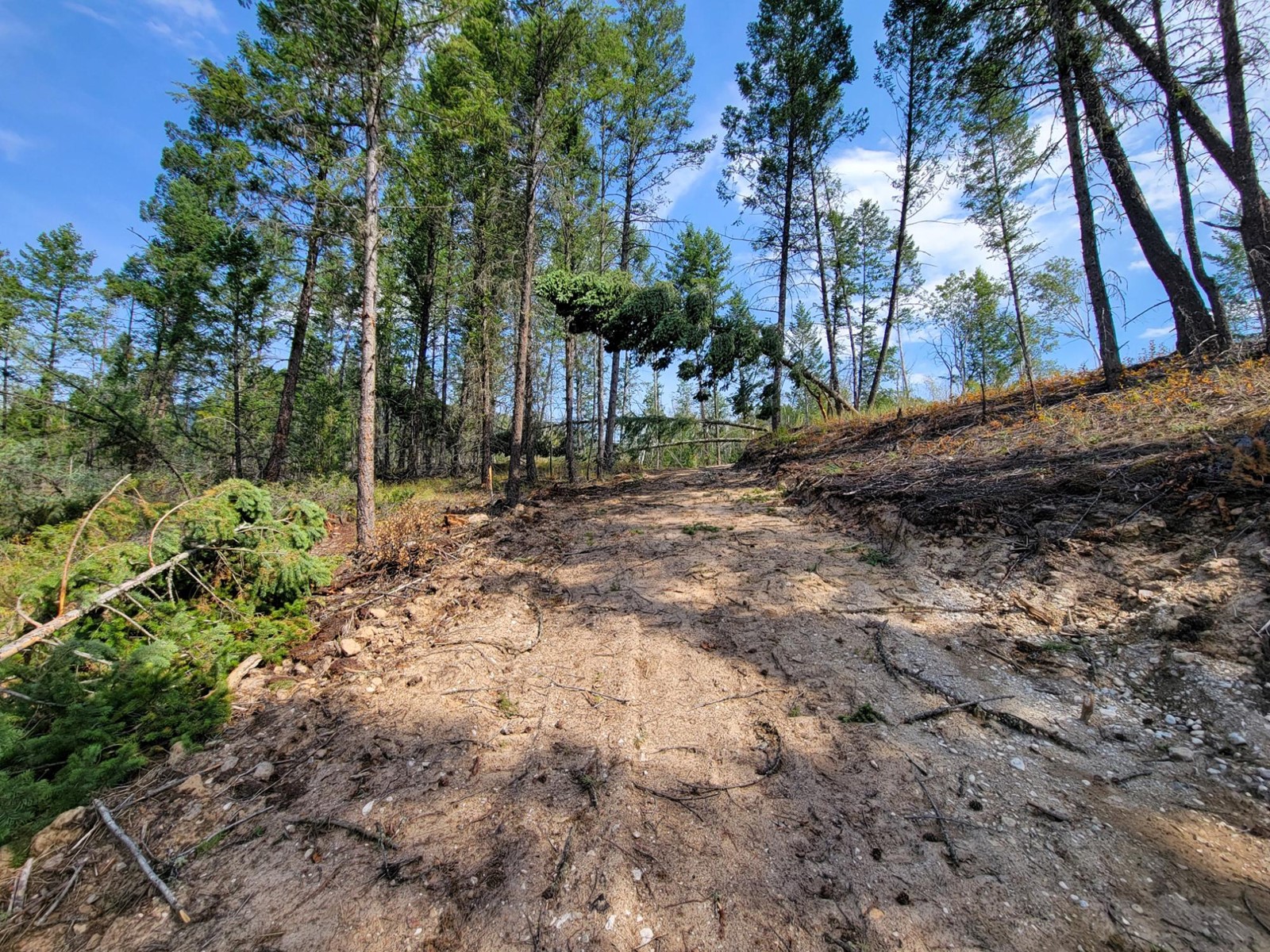 Lot 11 Csokony Road, Spur Valley, British Columbia  V0A 1E0 - Photo 20 - 2479578