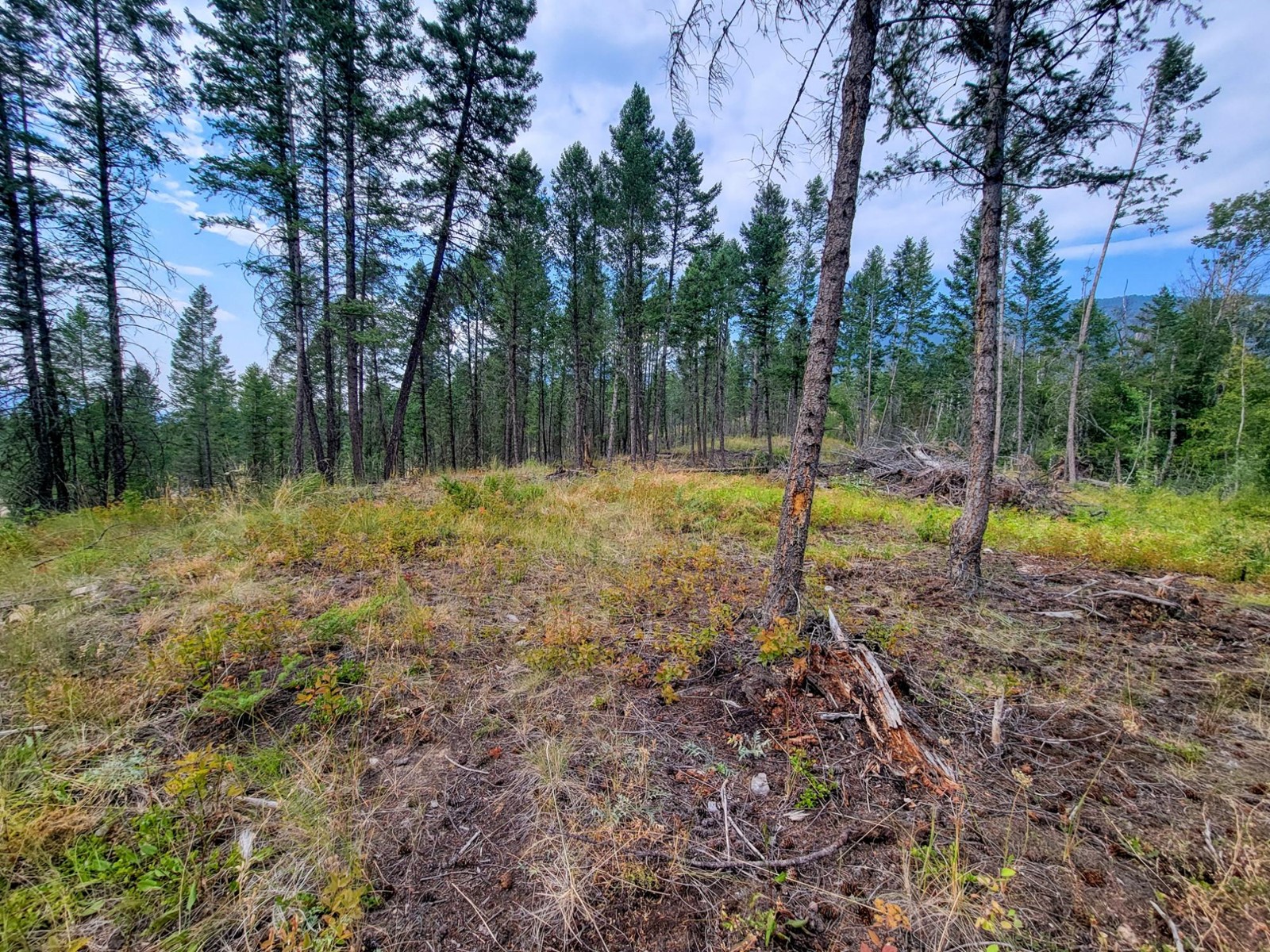 Lot 11 Csokony Road, Spur Valley, British Columbia  V0A 1E0 - Photo 21 - 2479578