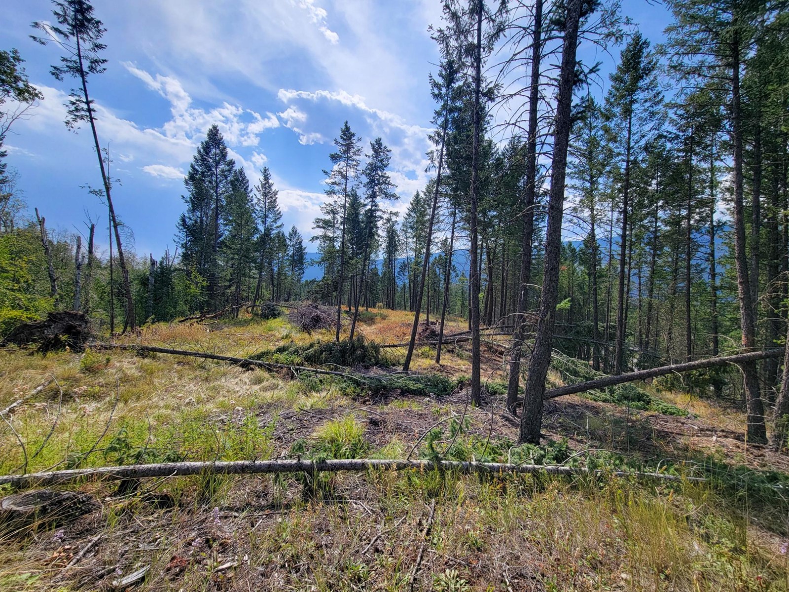 Lot 11 Csokony Road, Spur Valley, British Columbia  V0A 1E0 - Photo 22 - 2479578