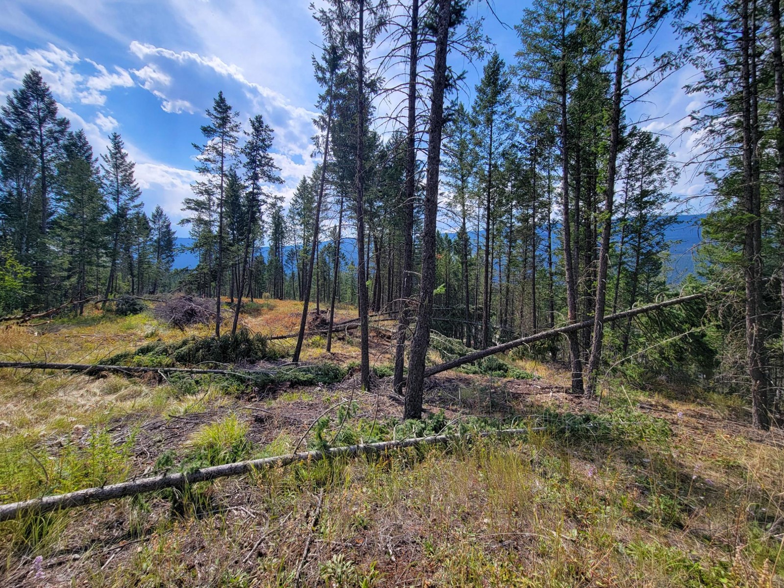 Lot 11 Csokony Road, Spur Valley, British Columbia  V0A 1E0 - Photo 23 - 2479578