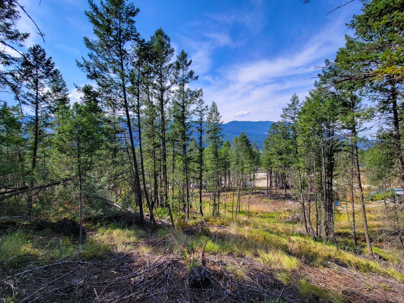 Lot 11 Csokony Road, Spur Valley, British Columbia  V0A 1E0 - Photo 24 - 2479578