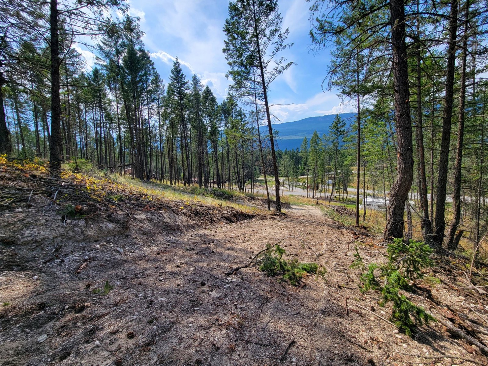 Lot 11 Csokony Road, Spur Valley, British Columbia  V0A 1E0 - Photo 26 - 2479578