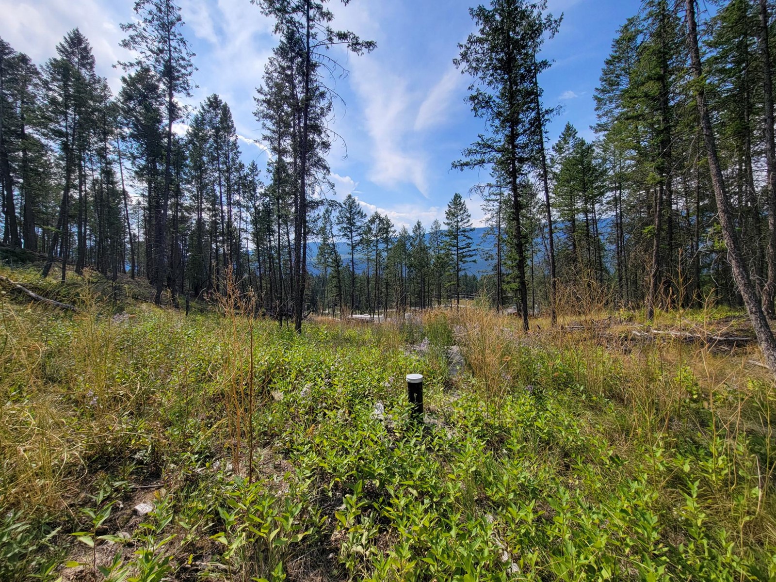 Lot 11 Csokony Road, Spur Valley, British Columbia  V0A 1E0 - Photo 9 - 2479578