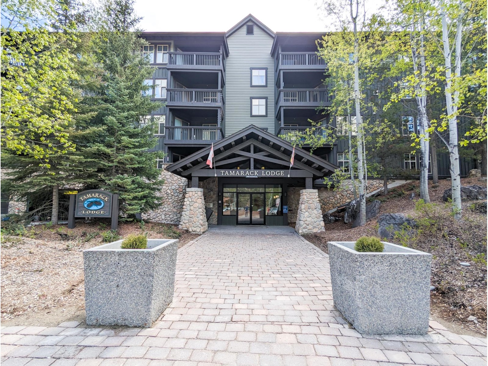 403 - 2060 Summit Drive, Panorama, British Columbia  V0A 1T0 - Photo 17 - 2479671