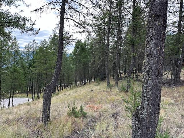 Lot 40 Pine Ridge Mountain Lane, Invermere, British Columbia  V0A 1K4 - Photo 5 - 2479715