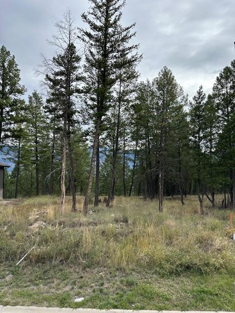 Lot 40 Pine Ridge Mountain Lane, Invermere, British Columbia  V0A 1K4 - Photo 8 - 2479715