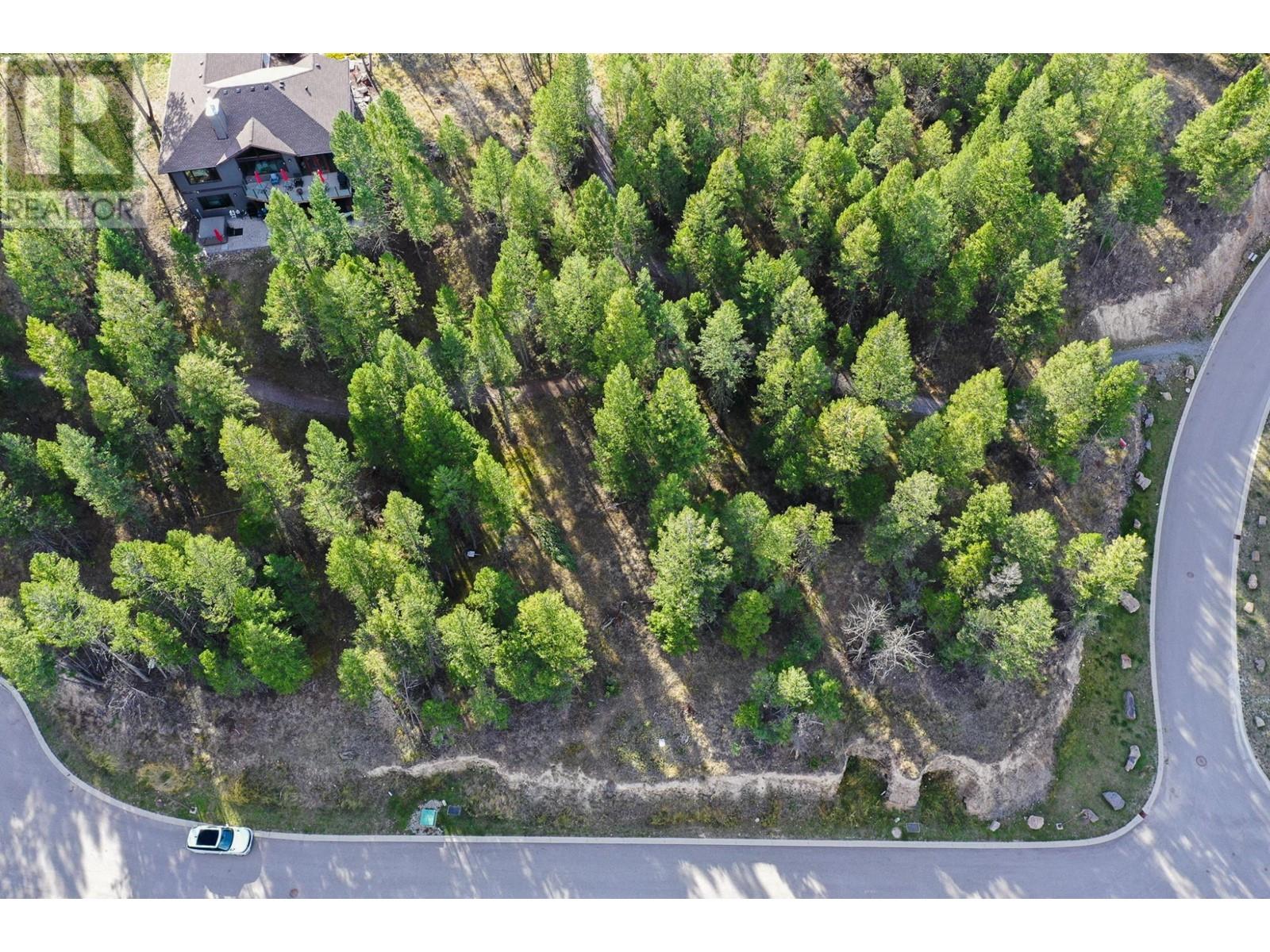 Lot 49 Pine Ridge Mountain  Place, Invermere, British Columbia  V0A 1K4 - Photo 3 - 2479952