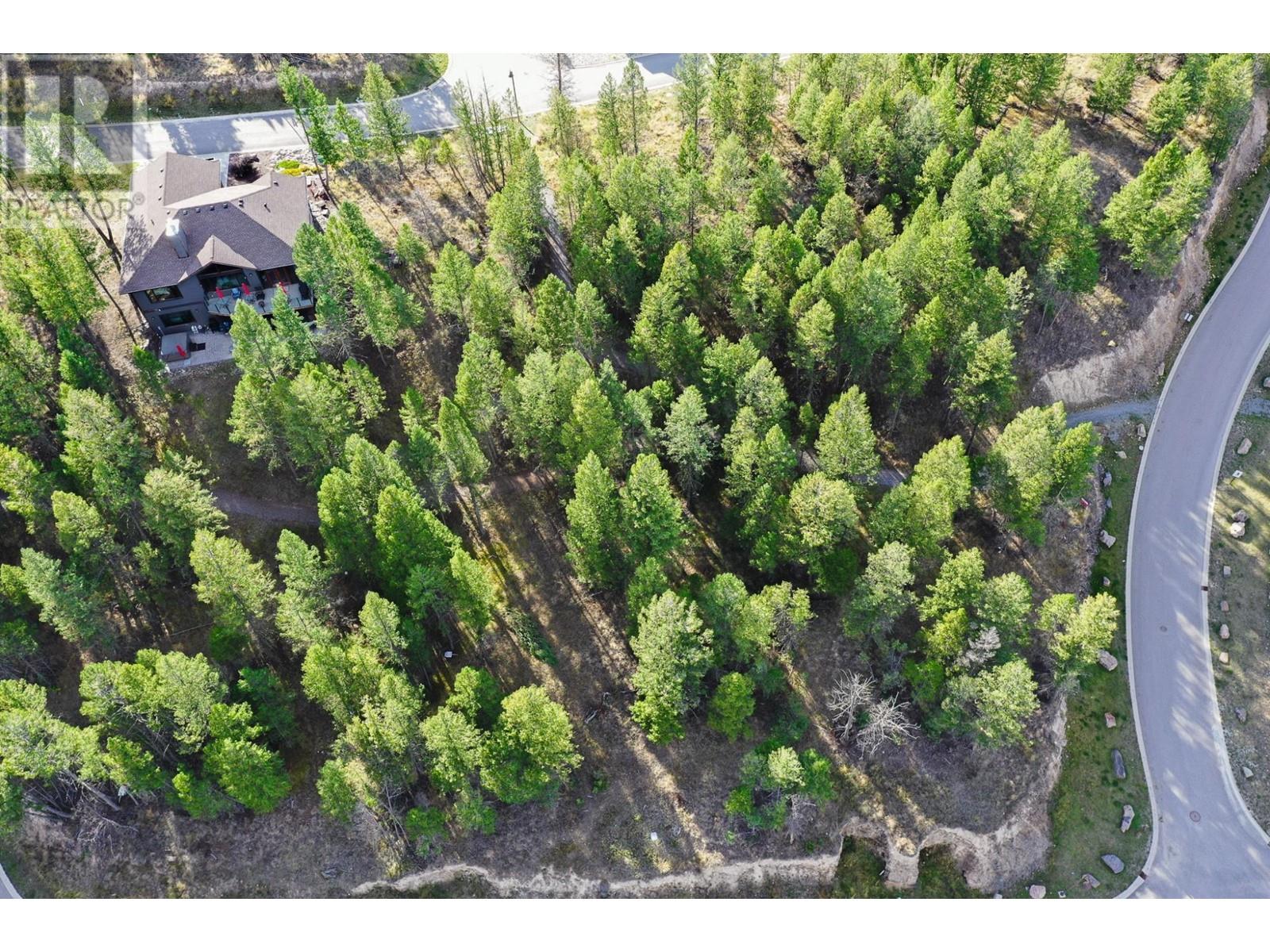 Lot 49 Pine Ridge Mountain  Place, Invermere, British Columbia  V0A 1K4 - Photo 4 - 2479952