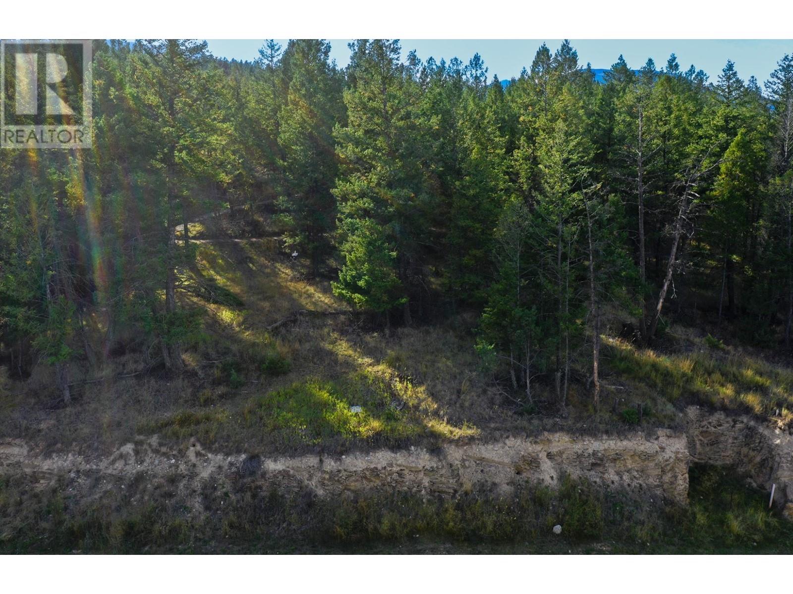 Lot 49 Pine Ridge Mountain  Place, Invermere, British Columbia  V0A 1K4 - Photo 5 - 2479952