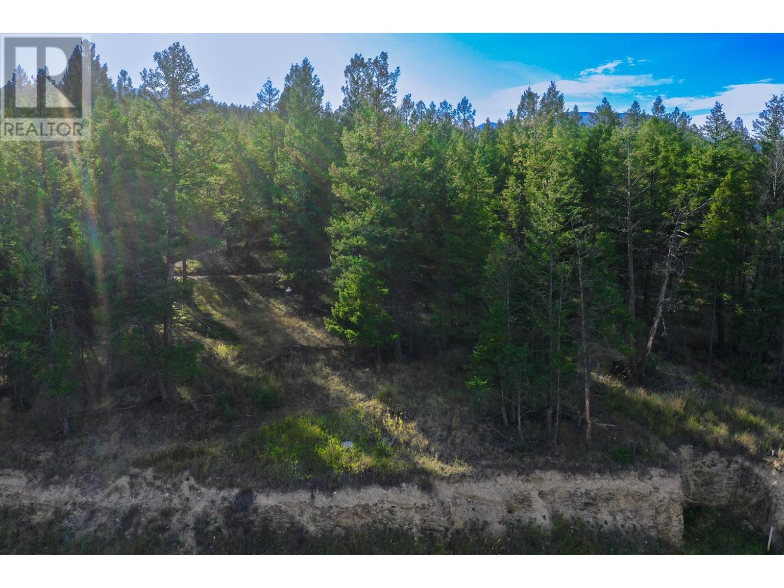 Lot 49 Pine Ridge Mountain  Place, Invermere, British Columbia  V0A 1K4 - Photo 6 - 2479952