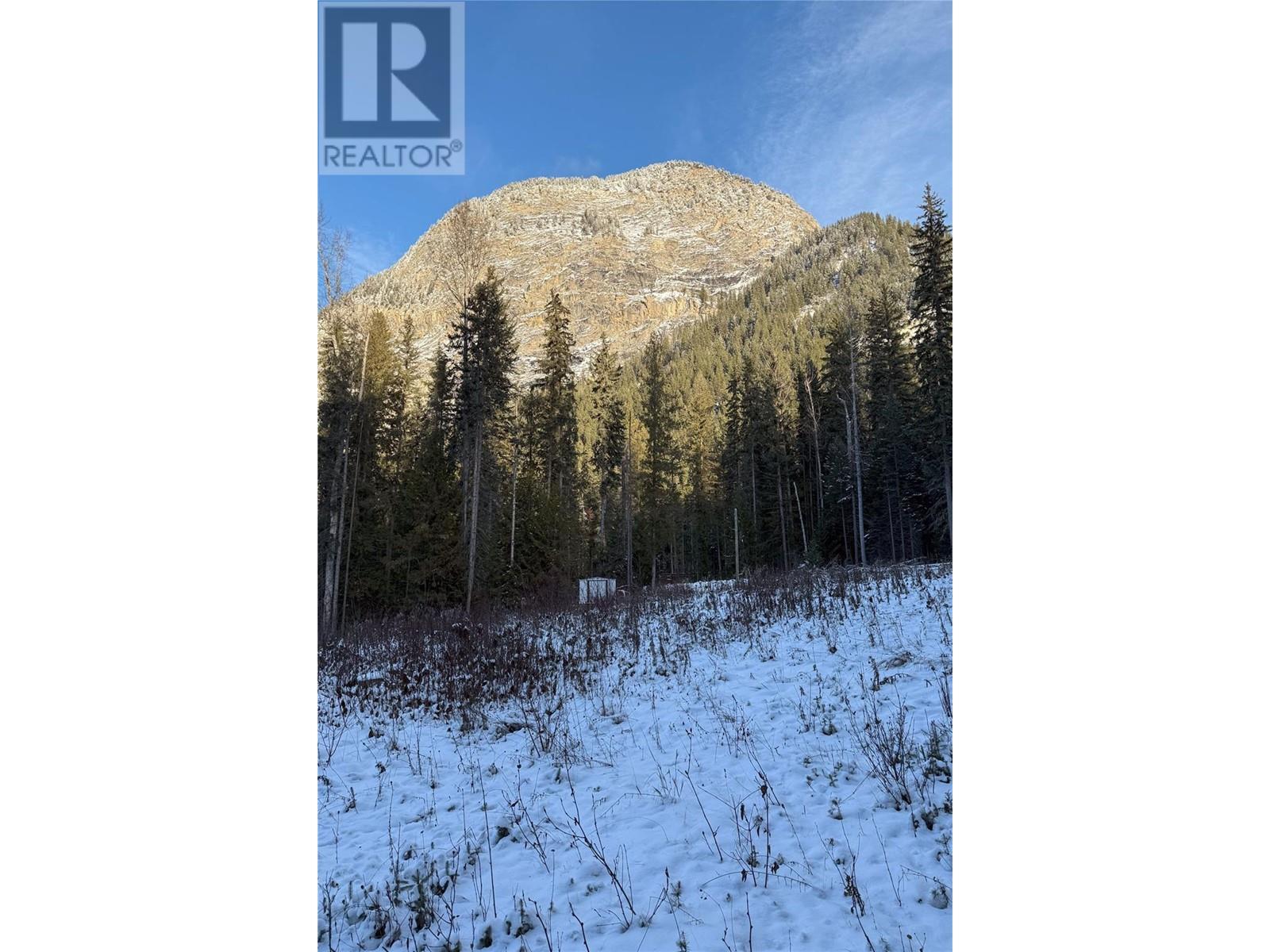 2235 Blaeberry Road Lot# 2, Golden, British Columbia  V0A 1H1 - Photo 6 - 10329585