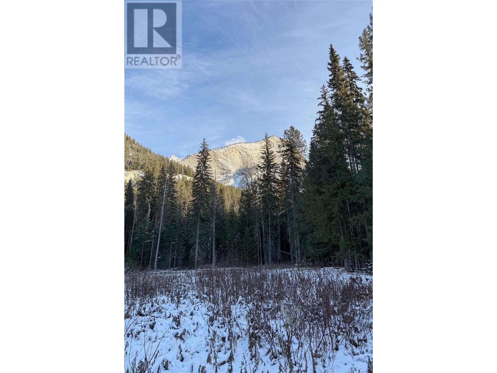 2235 Blaeberry Road Lot# 2, Golden, British Columbia  V0A 1H1 - Photo 7 - 10329585