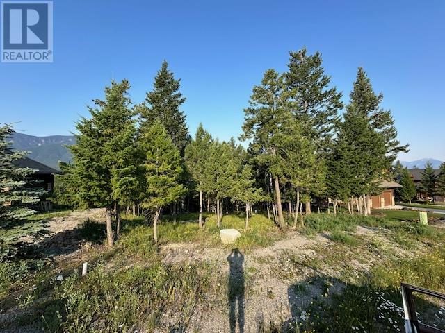 2536 Ledgerock Ridge, Invermere, British Columbia  V0A 1K0 - Photo 3 - 10329967