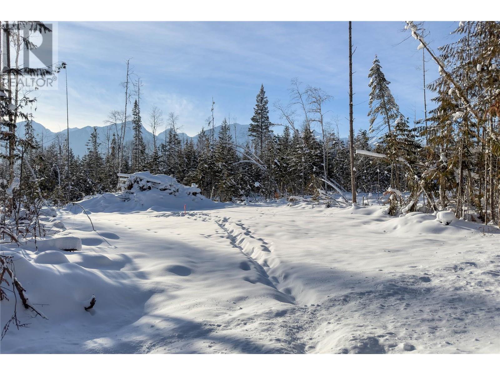 Lot 5 Golden Donald Upper Road, Golden, British Columbia  V0A 1H1 - Photo 2 - 10332466