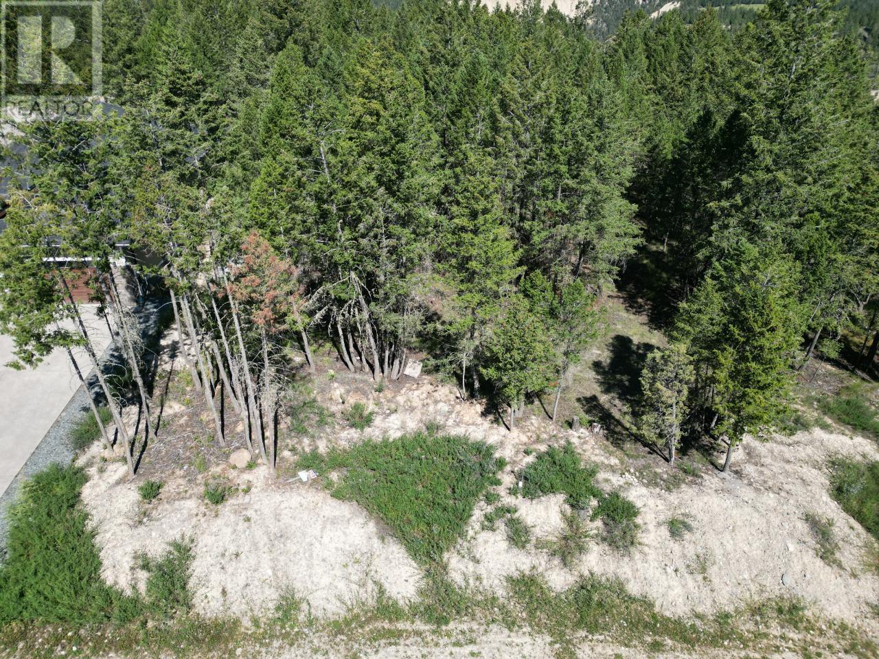 Lot 72 Pineridge Mountain Trail, Invermere, British Columbia  V0A 1K4 - Photo 8 - 10334958