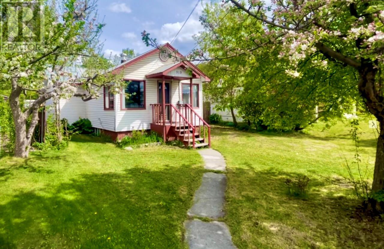 919 10th Street, Golden, British Columbia  V0A 1H0 - Photo 30 - 10340344