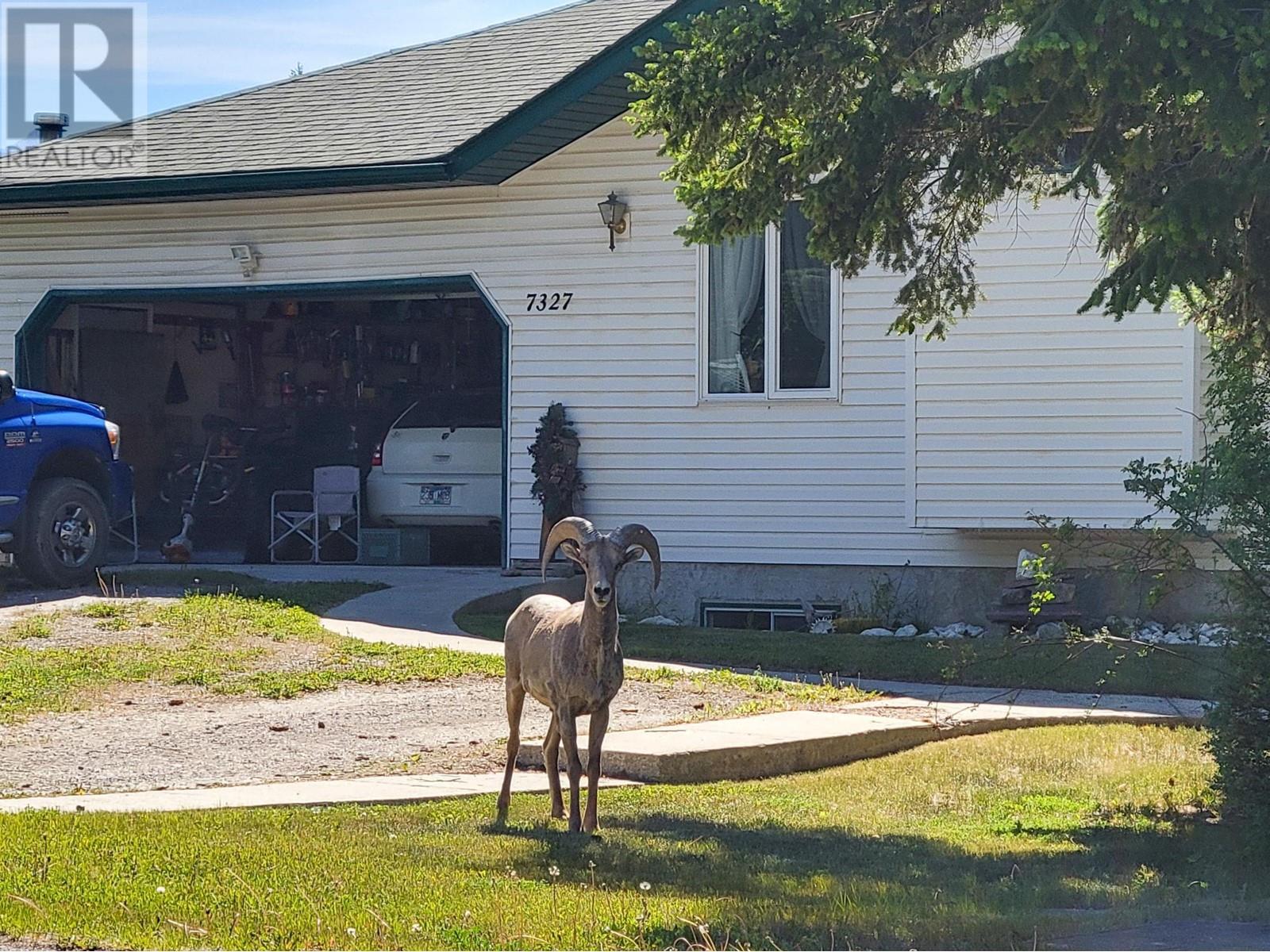 7326 Glacier Drive, Radium Hot Springs, British Columbia  V0A 1M0 - Photo 10 - 10343459