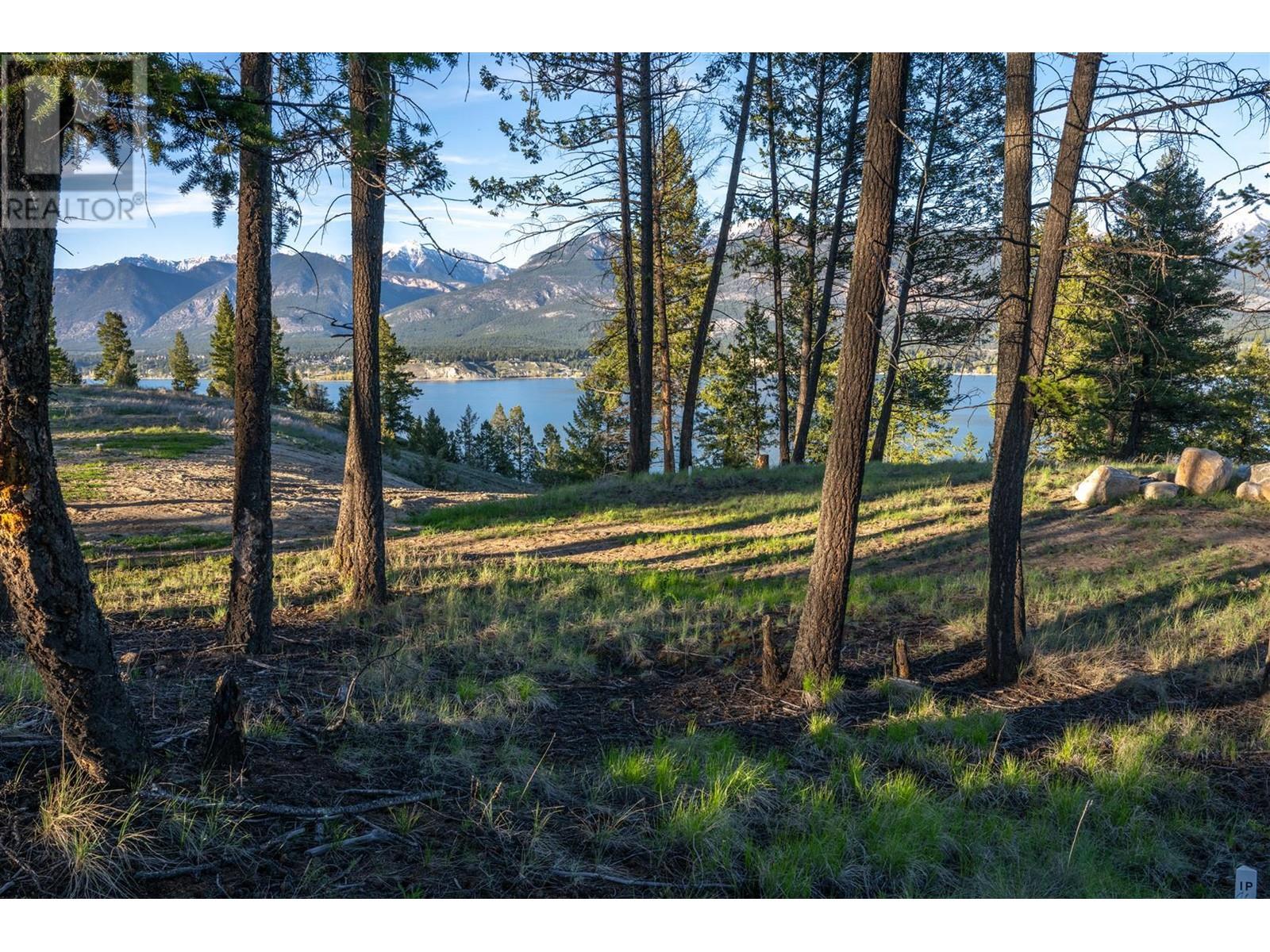 Lot 1 Westside Road, Invermere, British Columbia  V0A 1K0 - Photo 21 - 10344170