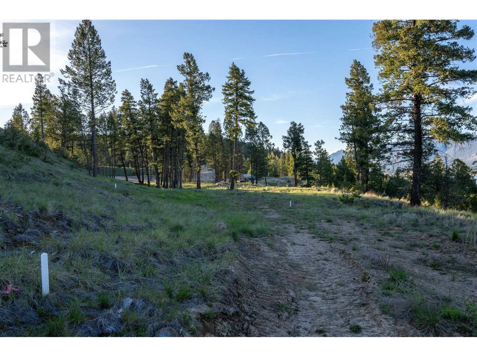 Lot 1 Westside Road, Invermere, British Columbia  V0A 1K0 - Photo 26 - 10344170