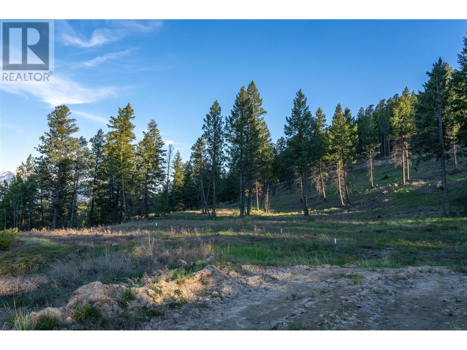 Lot 1 Westside Road, Invermere, British Columbia  V0A 1K0 - Photo 27 - 10344170