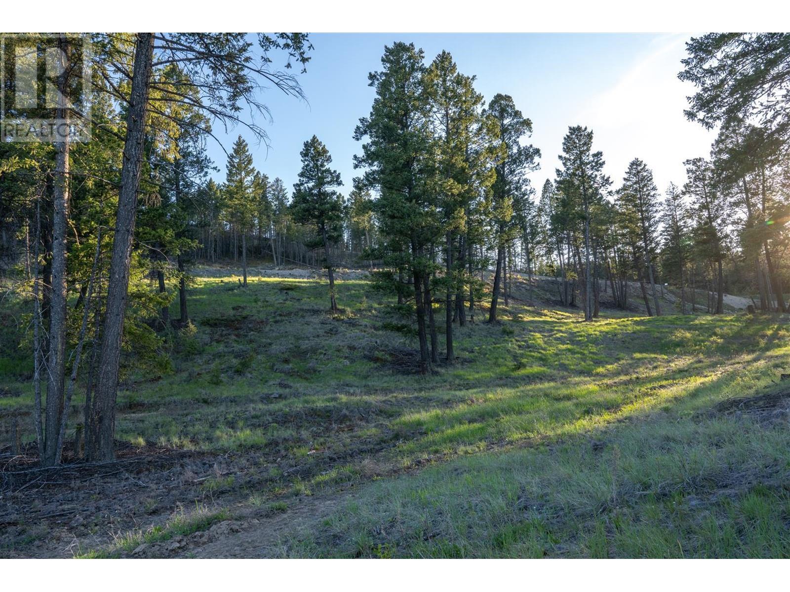 Lot 1 Westside Road, Invermere, British Columbia  V0A 1K0 - Photo 28 - 10344170