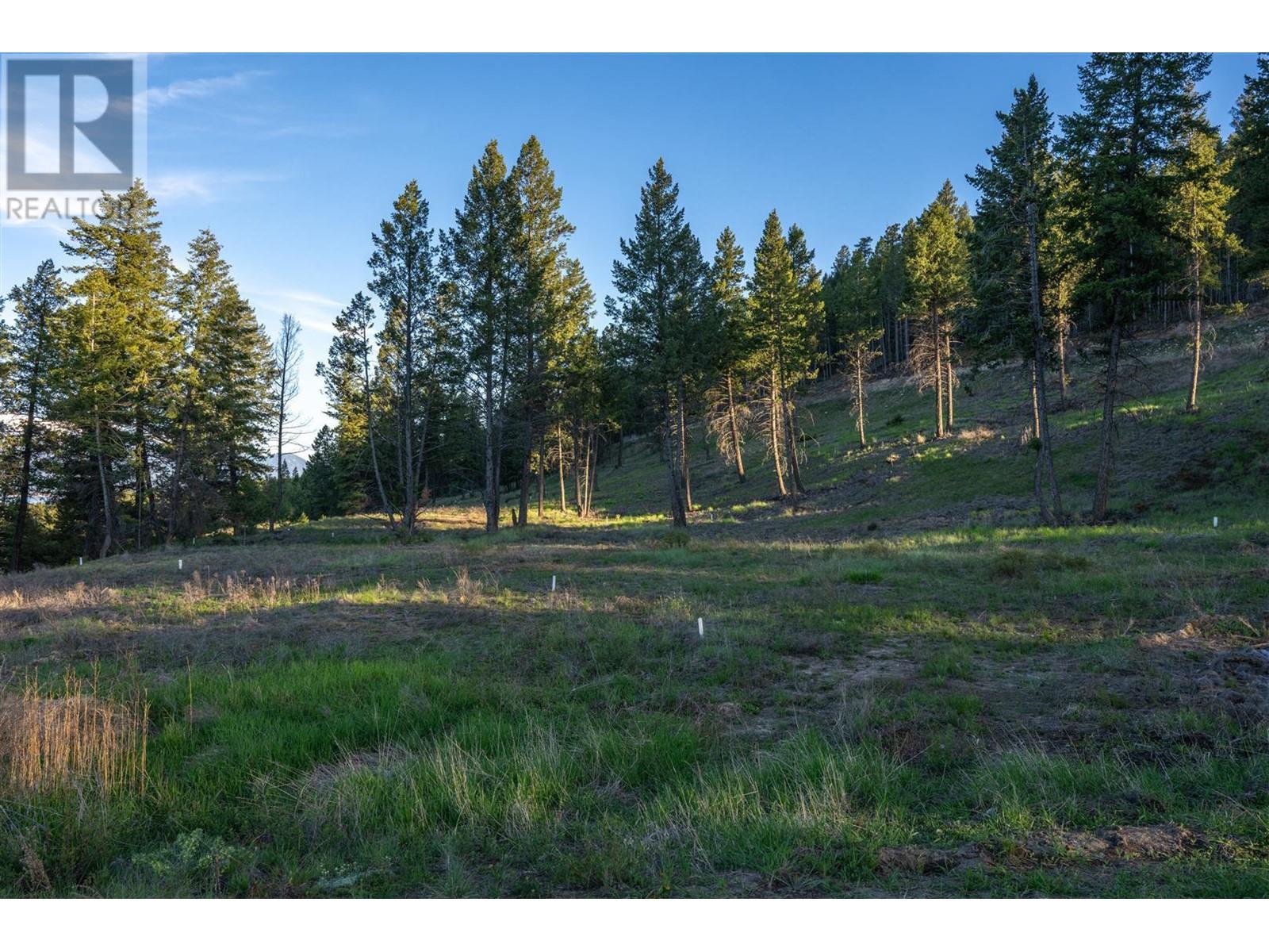 Lot 1 Westside Road, Invermere, British Columbia  V0A 1K0 - Photo 29 - 10344170