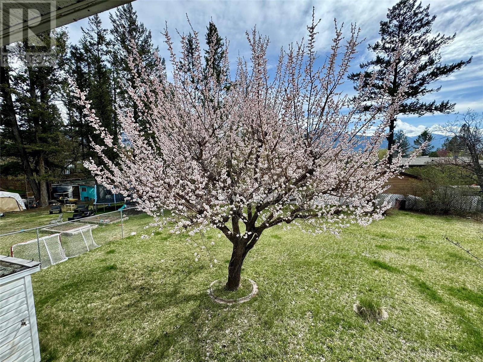 121 11th Avenue, Invermere, British Columbia  V0A 1K0 - Photo 16 - 10345417