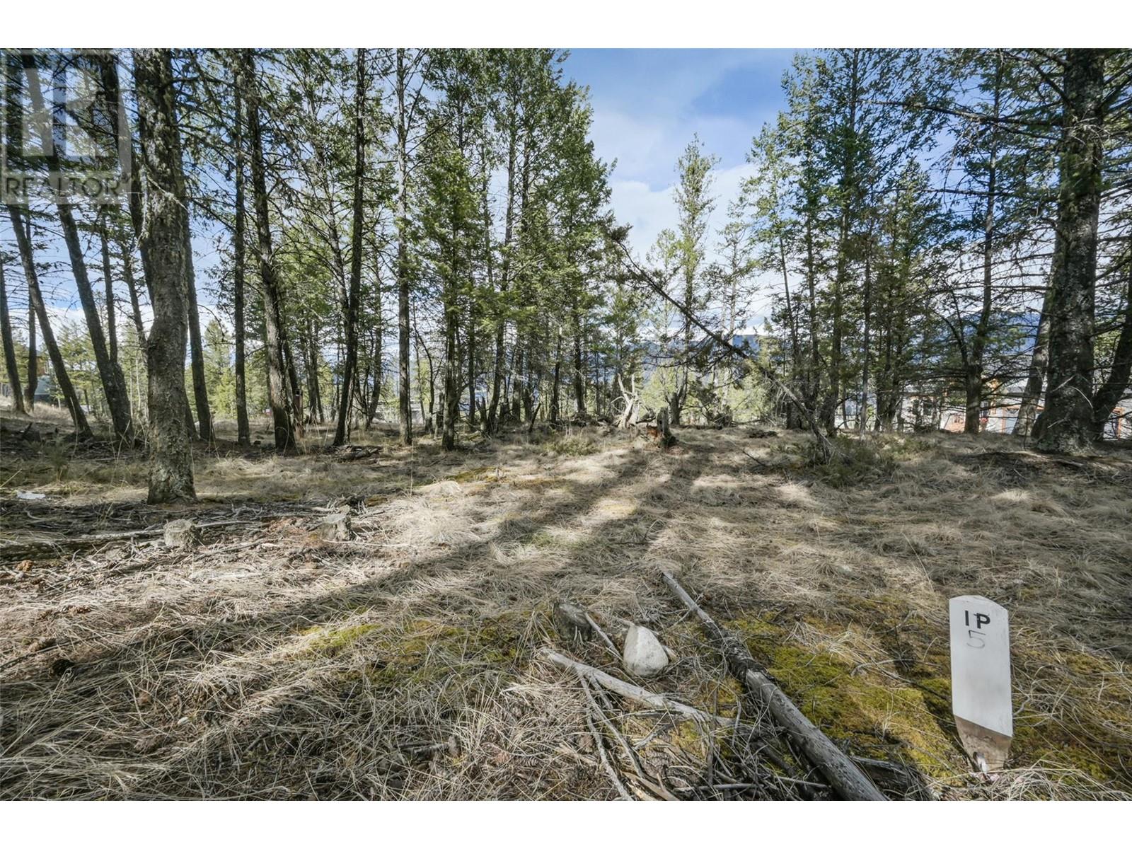 Lot 49 Pine Ridge Mountain Place, Invermere, British Columbia  V0A 1K4 - Photo 10 - 10344907