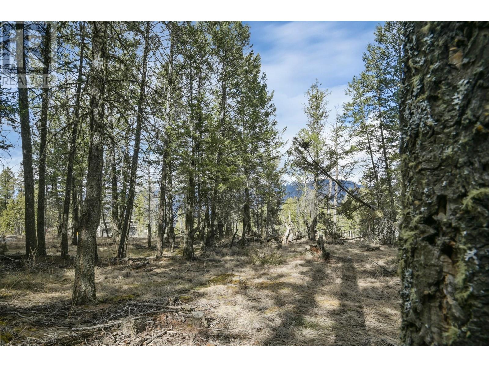 Lot 49 Pine Ridge Mountain Place, Invermere, British Columbia  V0A 1K4 - Photo 11 - 10344907